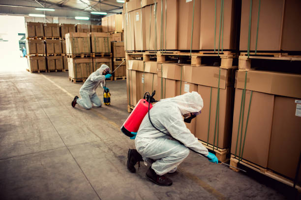 Best Best Pest Control Companies  in Keowee Key, SC