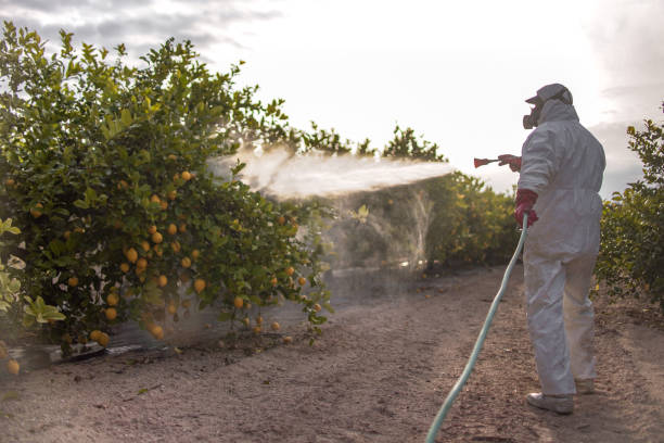 Insect Control in Keowee Key, SC