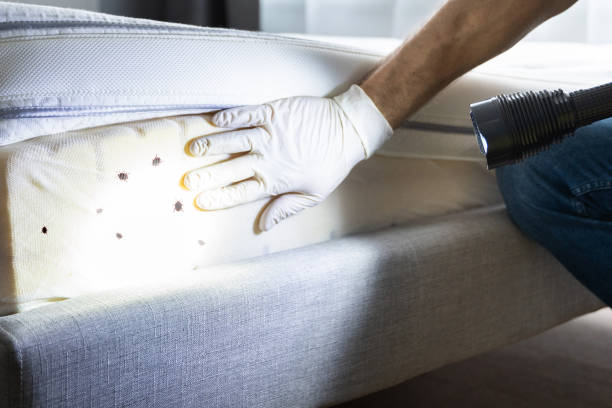 Pest Prevention Services in Keowee Key, SC