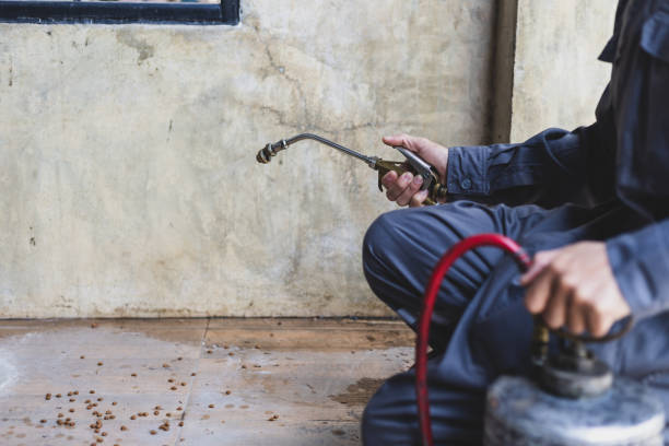 Best Pest Control Near Me  in Keowee Key, SC